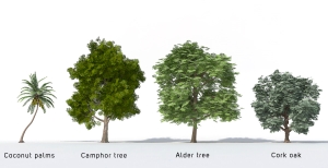 Alberi 3D - Volume 23